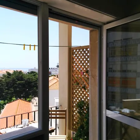 As Mimosas-3