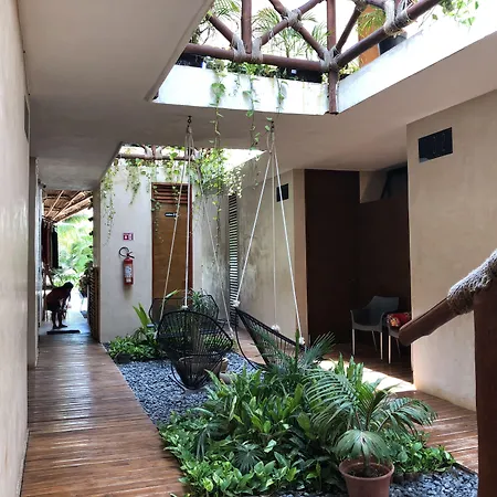 Hotel Bohonito Holbox-3