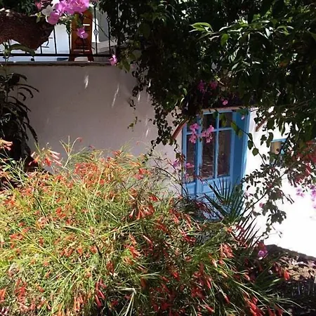 Kas Lemon Hotel-2