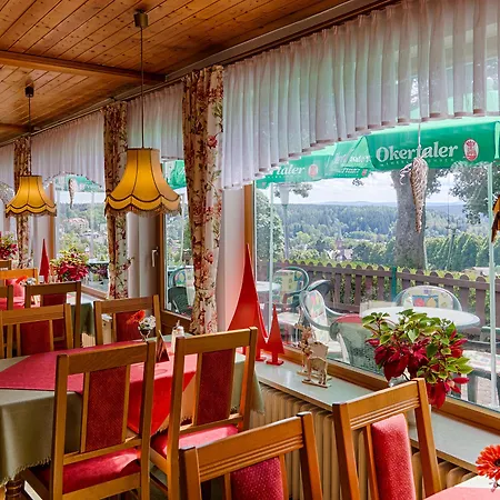 Hotel Und Cafe Panorama-2