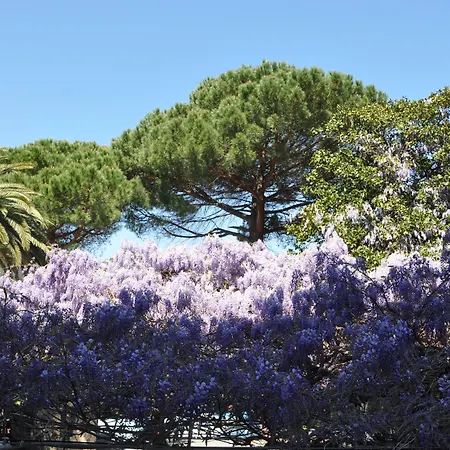 Hotel Residence Moneglia-3