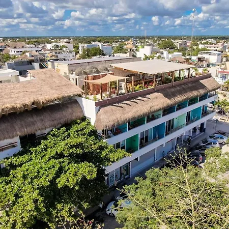 Hotel La Palmita By Mij-2