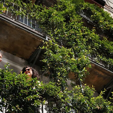 Tomato Backpackers-2