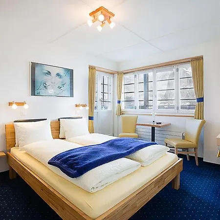 Hotel Alpina-2