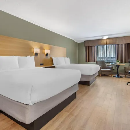 Best Western Plus Ottawa City Centre-3