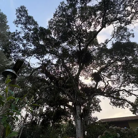 Pousada São Miguel Natureza e Descanso em Cunha SP-2