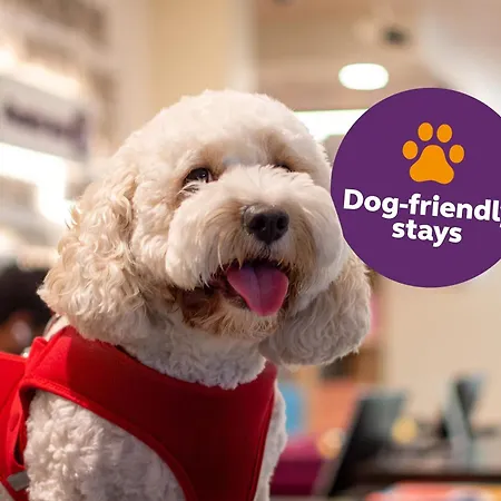 Premier Inn Dubai Al Jaddaf - An Emirates Group Company-2