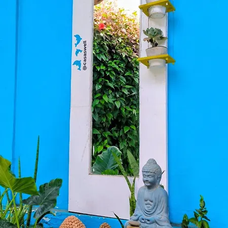 Casa Swell Hostel-3