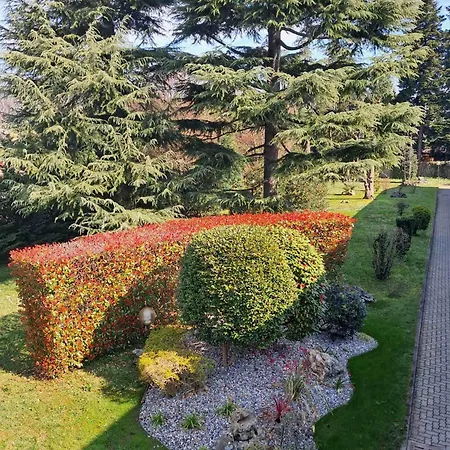 Hotel City Legnano-3