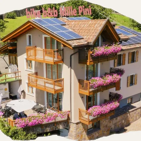 Bike Bed&Breakfast Mille Pini-2