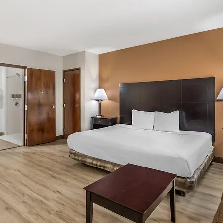 Best Western Des Plaines O'Hare-2