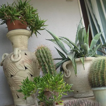 B&B Samuel-3