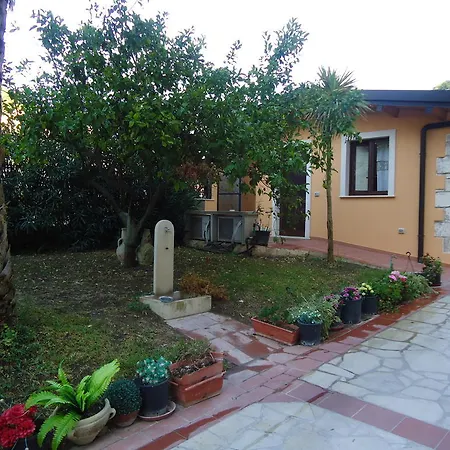 Pineta Monserrato-3