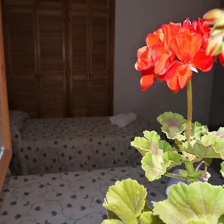 Hotel Rasil-3