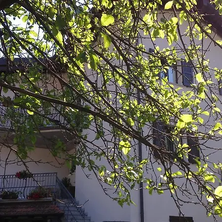 B&B I Pioppi-3