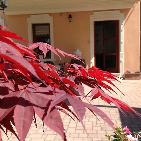 B&B Acero Rosso-2