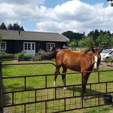 De Priesnitzhoeve-3