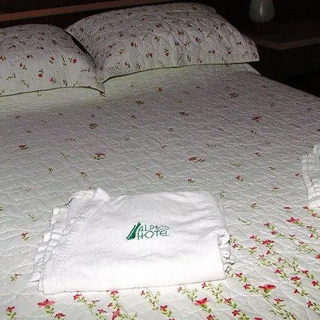 Alpes Hotel-3