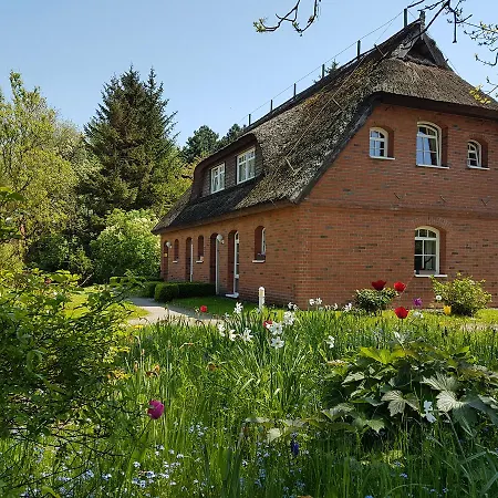 Hotel Alt Wittower Krug-3
