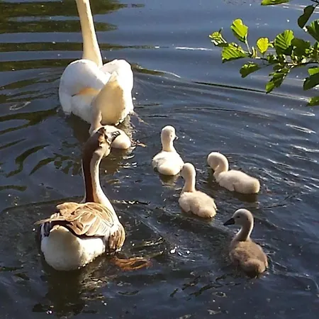 Hotel Le Rivage-2