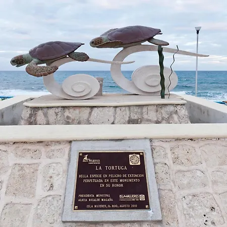 Rocamar Hotel Isla Mujeres-3