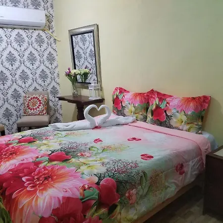 Canapalma Zona Colonial-3