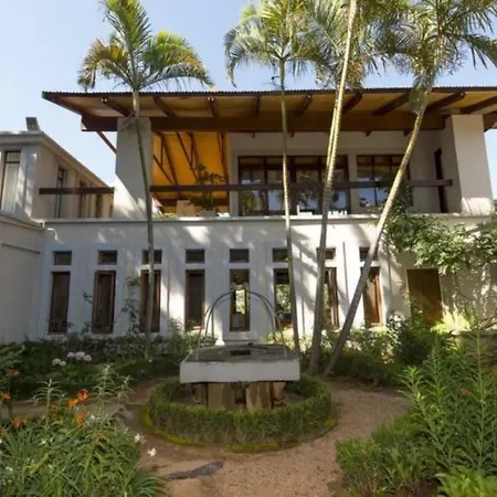 Wild Fig Guesthouse-3