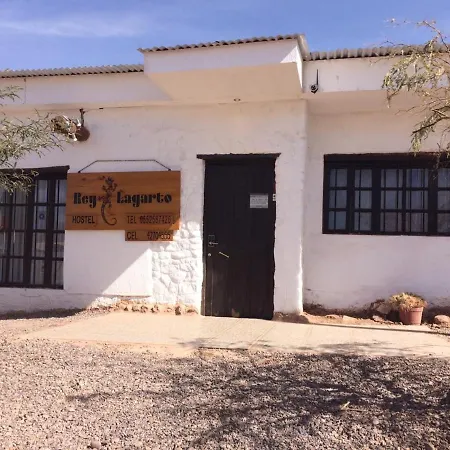 Rey Lagarto Hostel-3