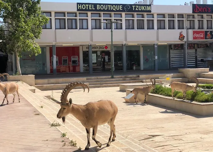 Сity center hotels Tzukim Boutique - Desert Traveler'S In Mitzpe Ramon - בוטיק צוקים