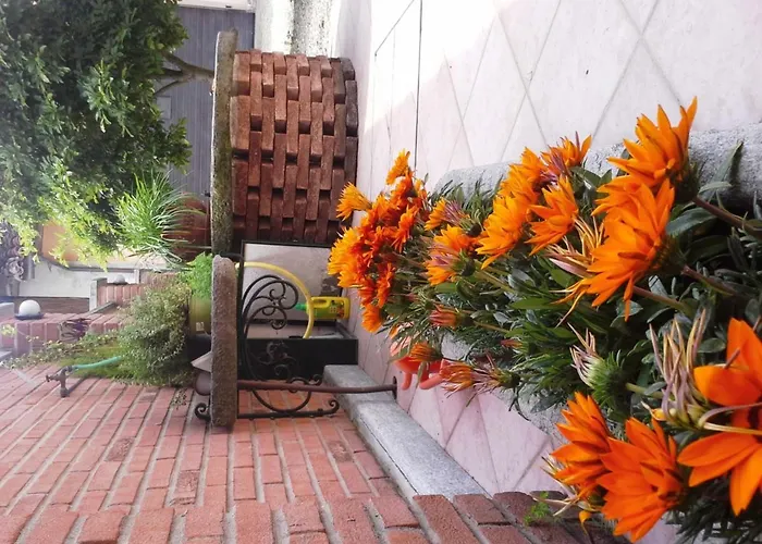 Hotel familiare: Bed&Breakfast La Siepe