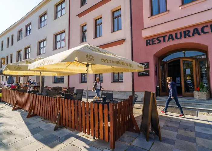 Hotel U Labutě