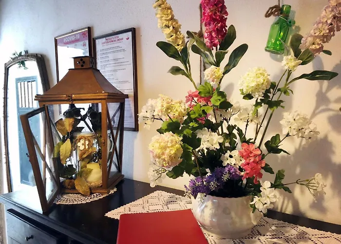 B&B La Bouganville di Serena