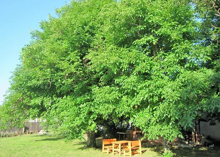 Pod Orehi