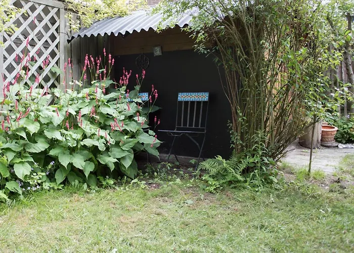 Mo'S Place