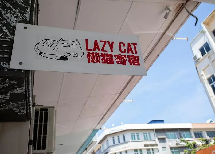 Lazy Cat Home At Gaya Street