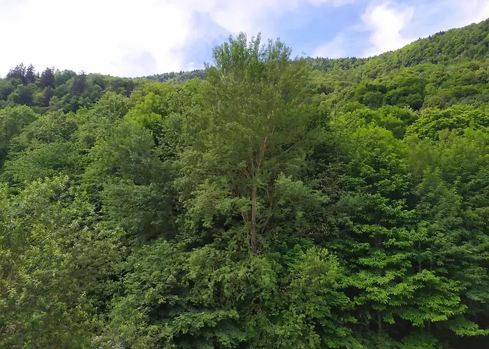 Appartement Bagneres De Luchon