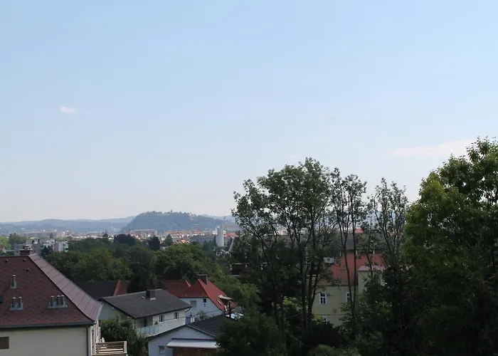 Steinbichler