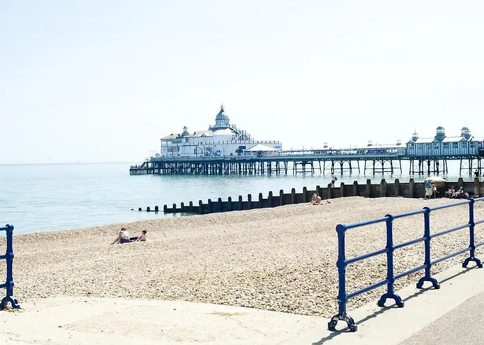 Pet Friendly hotel: Shore View Hotel