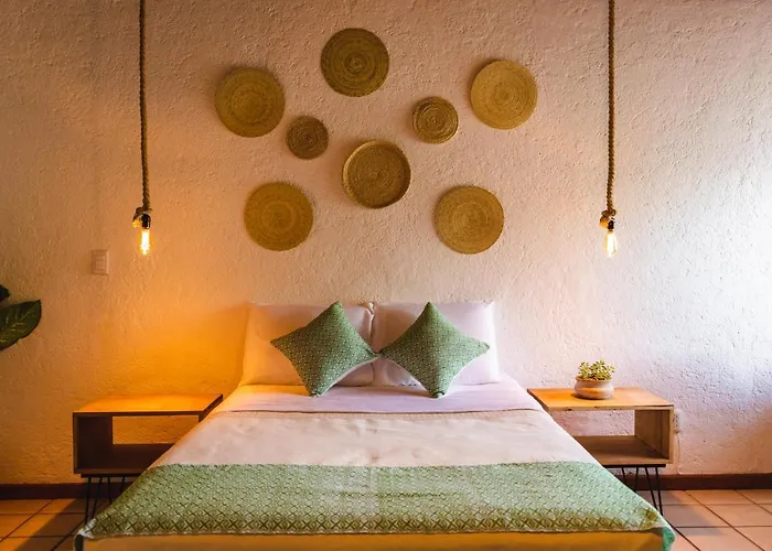 Perros hoteles Casa Mayo