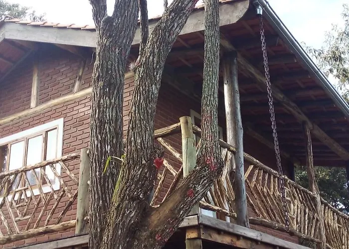 Recanto Do Leão