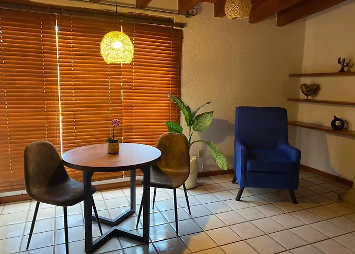 Perros hoteles Casa Mayo