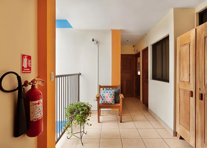 Hostel Tropical And Coworking