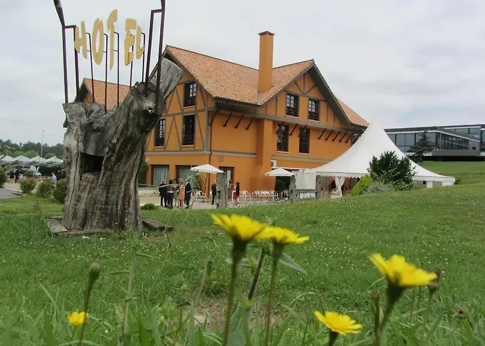 Aisia Derio Museo Spa