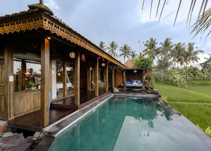 Airsania Ubud Antique s