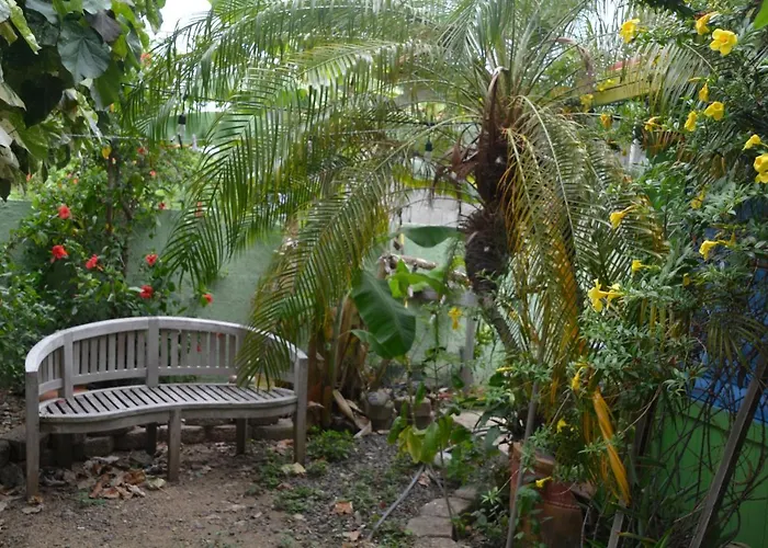 Pet Friendly hotel: Palmetto Guesthouse