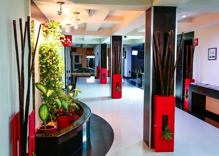 Pets Allowed Hotel Portonovo Plaza Malecon