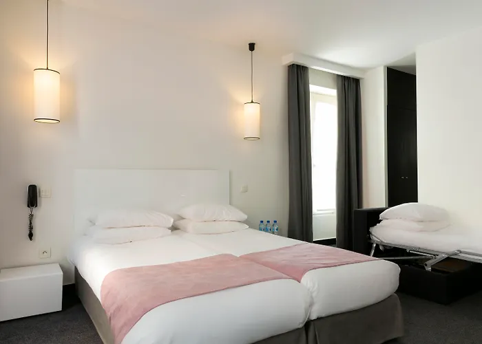 Hotel que admite mascotas: Hotel Standard Design
