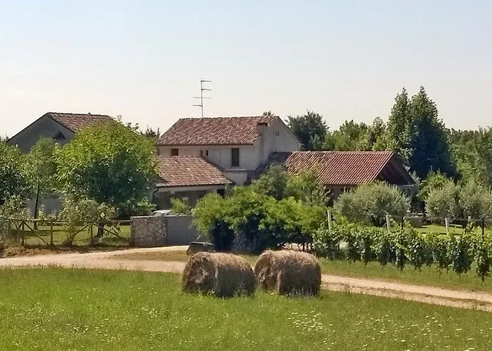 Il Giuggiolo