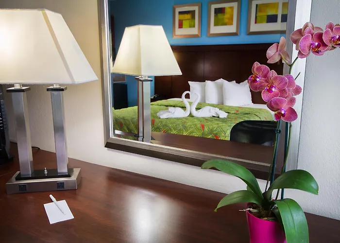 Hotel com vista: Ramada By Wyndham Flamingo Water Park