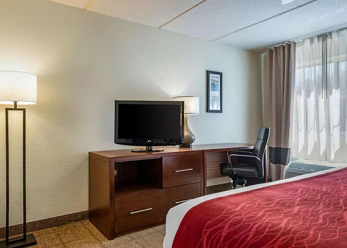 Dog friendly hotels Comfort Kissimmee-Lake Buena Vista South
